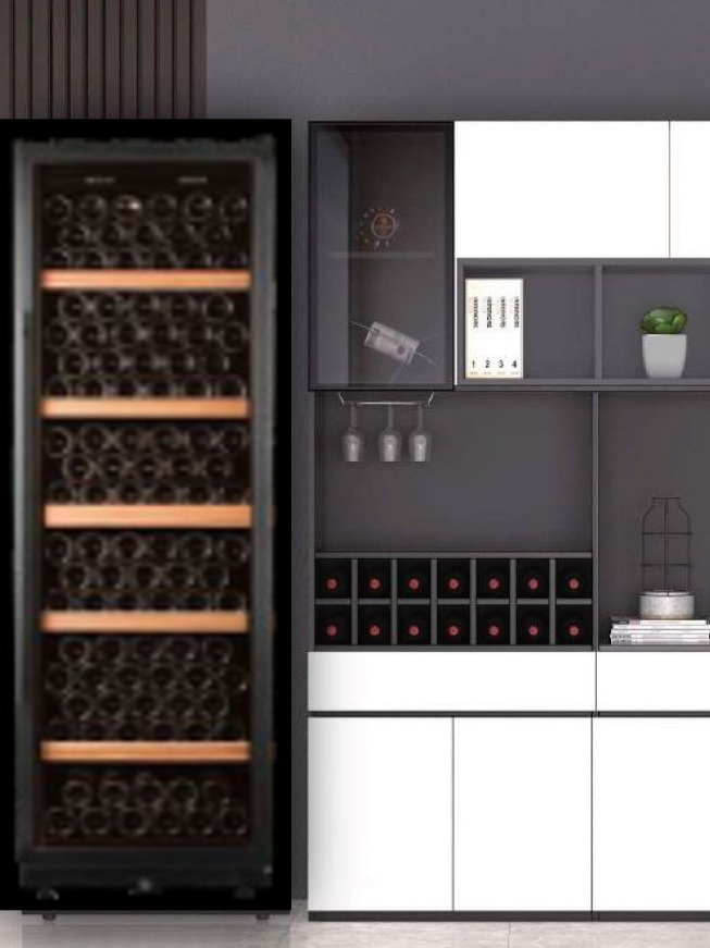 ������ ���� SCANDIFROST WFG 571C
