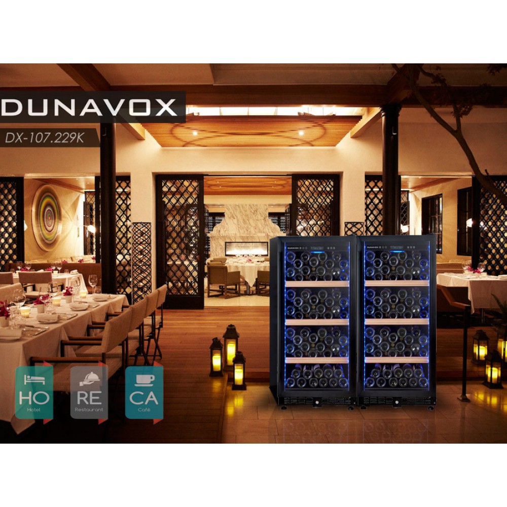 ������ ���� DUNAVOX DX-107.229K