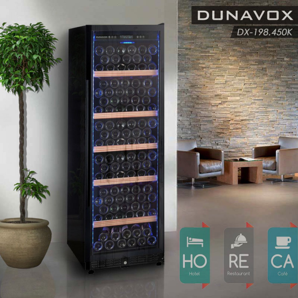 ������ ���� DUNAVOX DX-198.450K